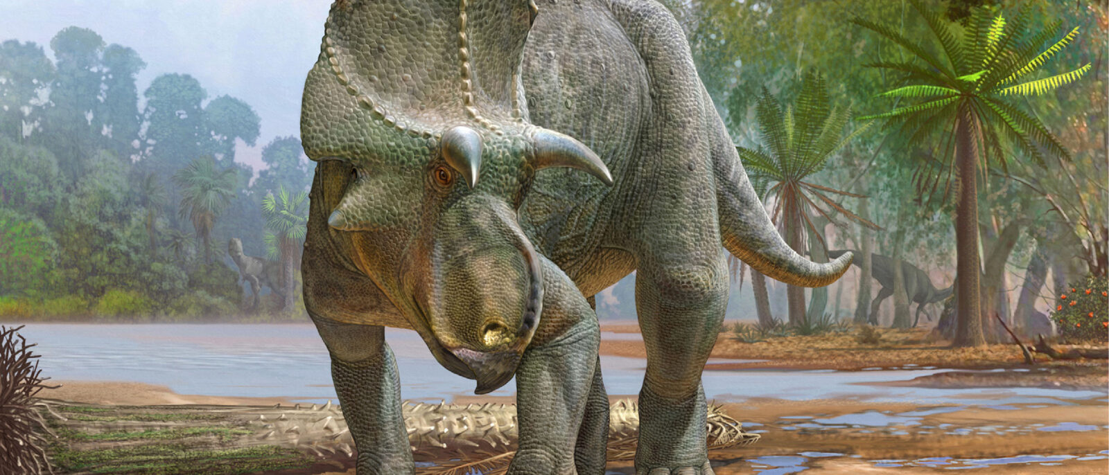HU professor helps name, describe new horned dinosaur discovery